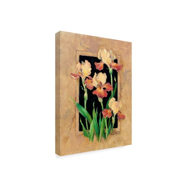 Barbara Mock ' Framed Iris' Canvas Art,14x19